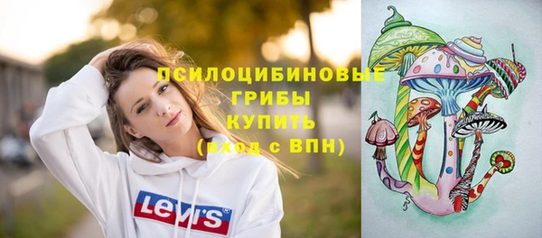 сатива Белокуриха